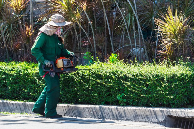 Bamboo Hedge Trimming