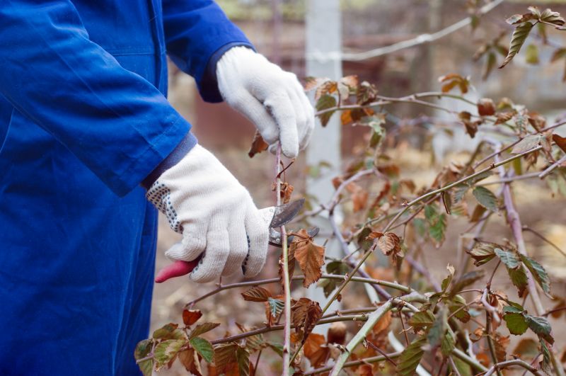 Winter Pruning