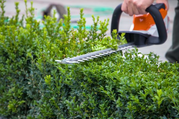 Hedge Pruning in Franklin