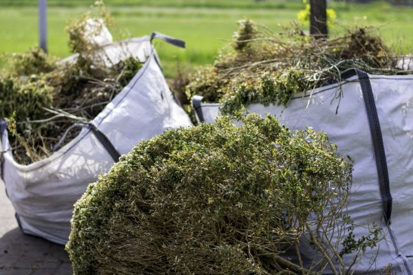 Shrubs Removal in Franklin