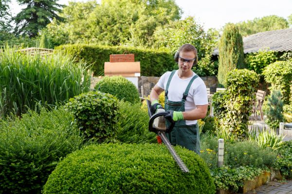 Shrubs Trimming in Franklin